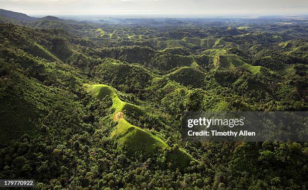 tribal villages in jungle of papua new guinea - papua stock pictures, royalty-free photos & images