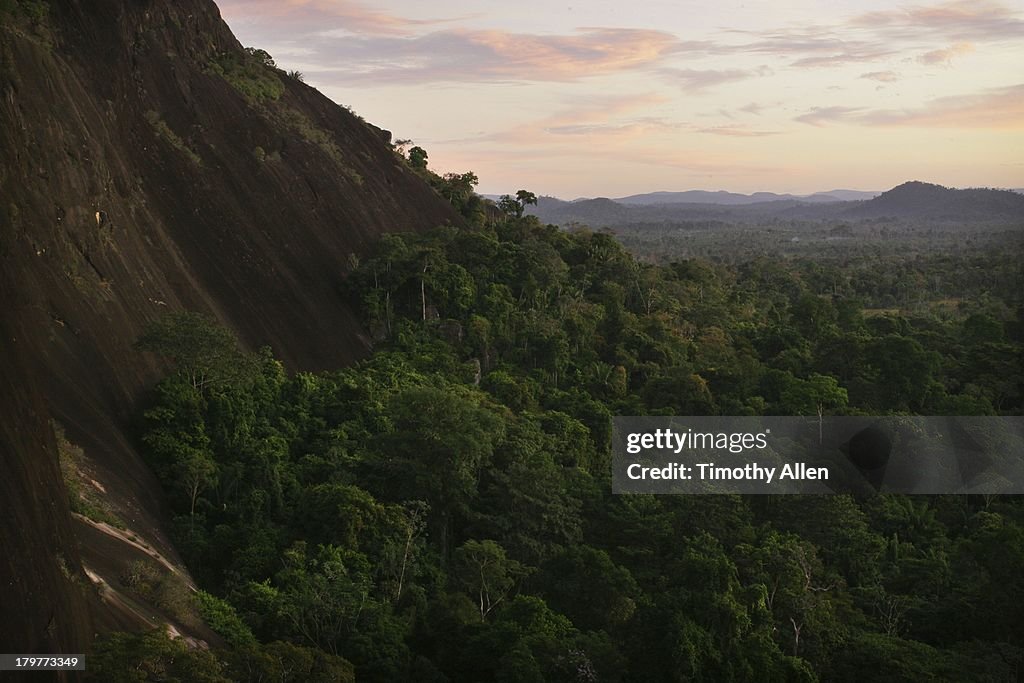 Amazon rainforest landscape at dawn, Venezuela