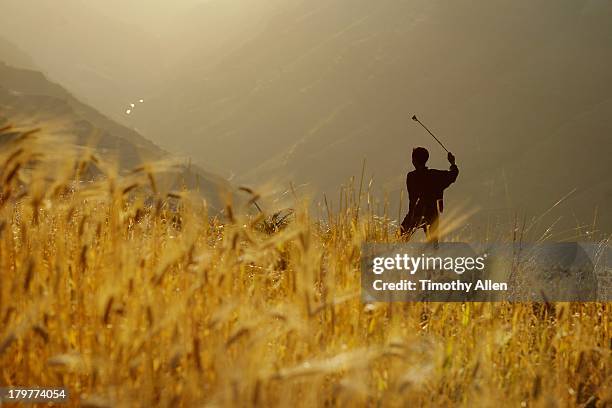 boy fires slingshot, simien mountains - tribù africana foto e immagini stock