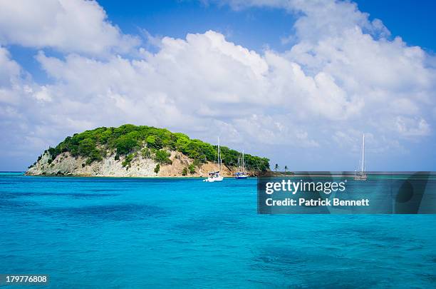 sailboats in the tobago cays - tobago cays stock pictures, royalty-free photos & images