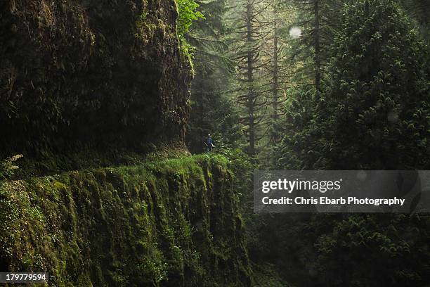 matt - eagle creek trail stockfoto's en -beelden