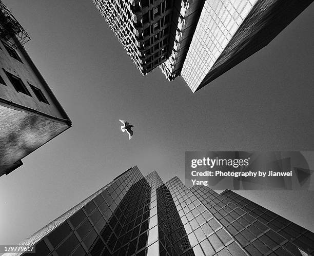1..3..5.. - downtown vancouver stock pictures, royalty-free photos & images