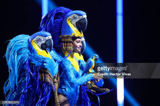 Miss Brazil Maria Brechane attends the The 72nd Miss Universe Competition - National Costume Show at Gimnasio Nacional Jose Adolfo Pineda on November...