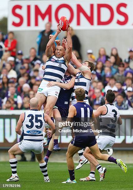 James Podsiadly of the Cats marks the ball during the Second AFL Qualifying Final match between the Geelong Cats and the Fremantle Dockers at Simonds...