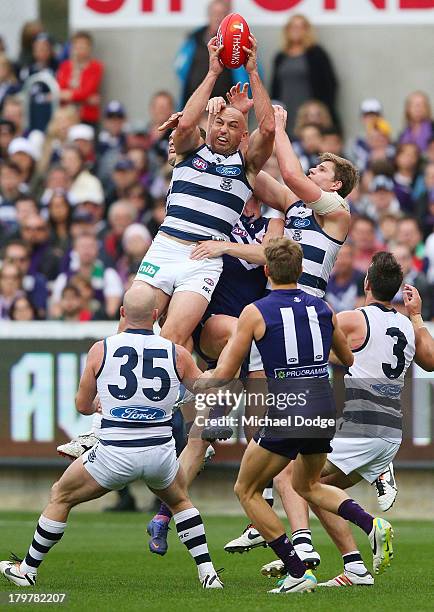 James Podsiadly of the Cats marks the ball during the Second AFL Qualifying Final match between the Geelong Cats and the Fremantle Dockers at Simonds...