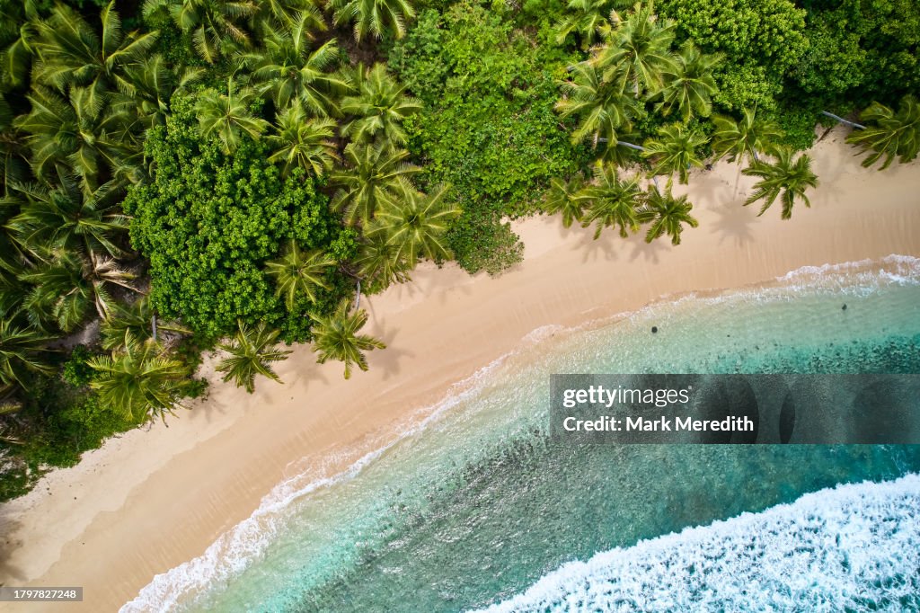 Straight down view of palm fringed beach on Waya Island in the Yasawa Islands