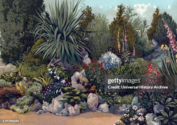 Rockery in gardens of the Royal Horticultural Society, Chiswick, London, 1897.