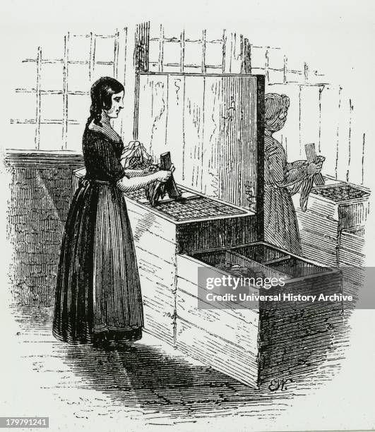 Sorting Rags Cutting Rags Photos and Premium High Res Pictures - Getty Images