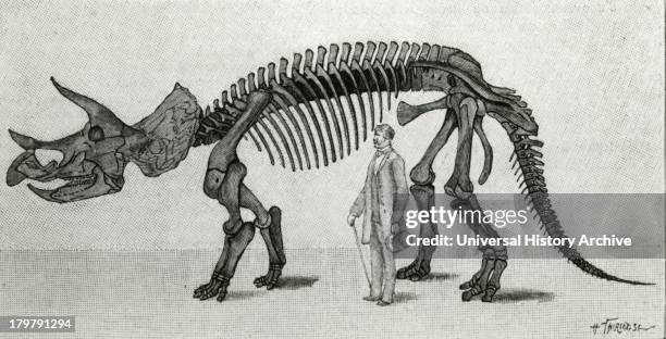 Triceratops prorsus. Reconstruction by OthnielCc Maarsh Engraving 1891.