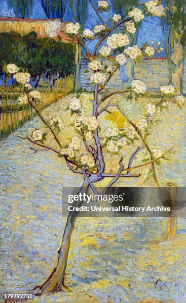 Painting of Small Pear Tree in Blossom, 1888. By Vincent van Gogh. Oil on Canvas.