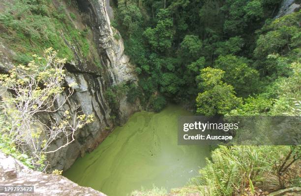 Mount Hypipamee Crater, a diatreme formed by explosion of volcanic gases that blasted through solid granite, Hypipamee National Park, Atherton...