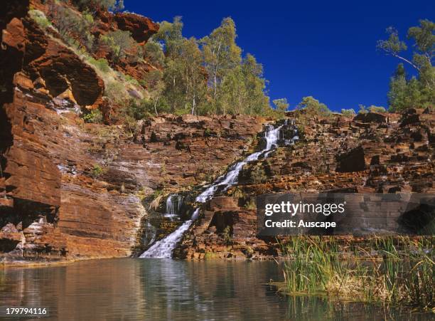 Fortescue Falls, Karijini National Park, Pilbara region, Western Australia