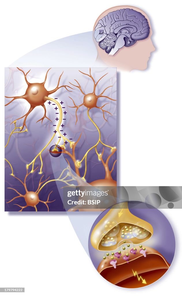 Nerve Impulse, Drawing