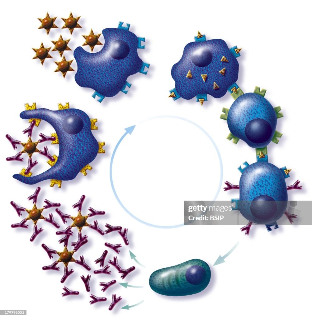 Immunology