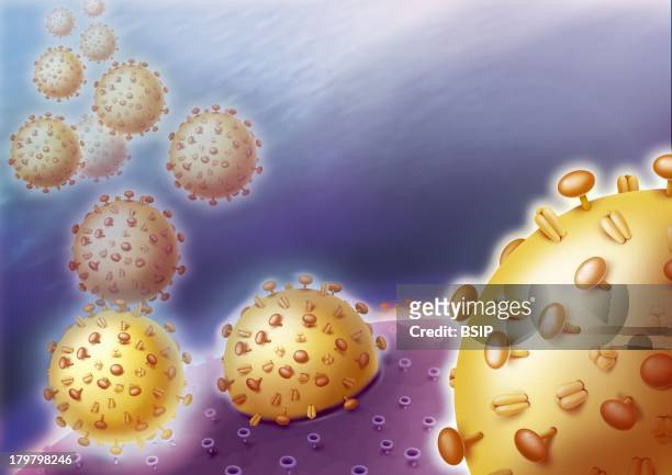 Viral Infection, Illustration, Invasion Of An Organism By Viruses, In Blue, The Viruses Fix To The Surface Of The Host-Cell, In Orangish, Thanks To...
