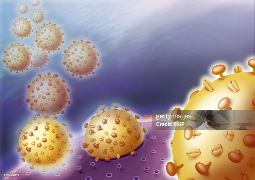 Viral Infection, Illustration