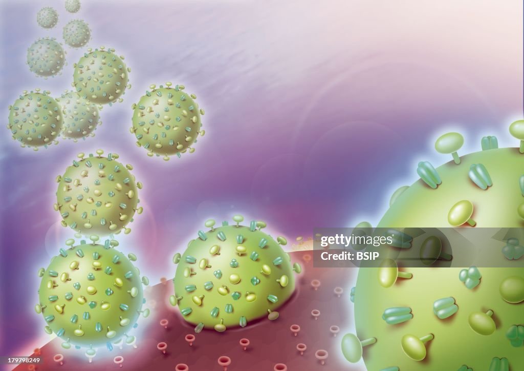 Viral Infection, Illustration