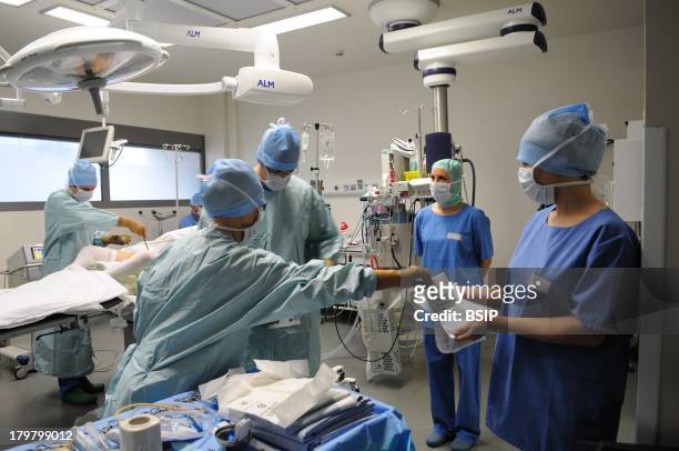 Lyon hospital. Department of urology. Phalloplastie, operation of plastic surgery to create a phallus, required to complete a change of sex,...
