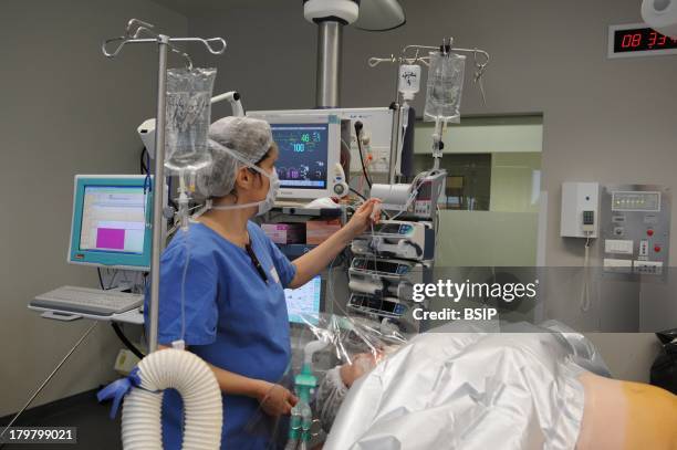 Emusculation 78 Emasculation Stock Photos, High-Res Pictures, and Images - Getty Images