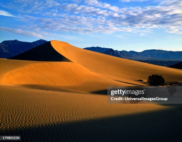 California and Nevada, Death Valley National Park, Sand Dunes in Mesquite Flat, and Cottonwood Mountains in the background.