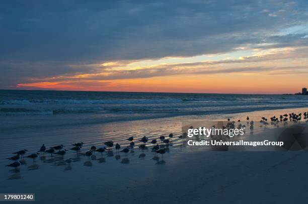 Crescent Beach, Siesta Key, Sarasota, Florida.