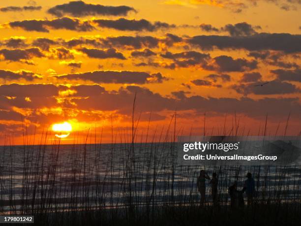 Crescent Beach, Siesta Key, Sarasota, Florida.