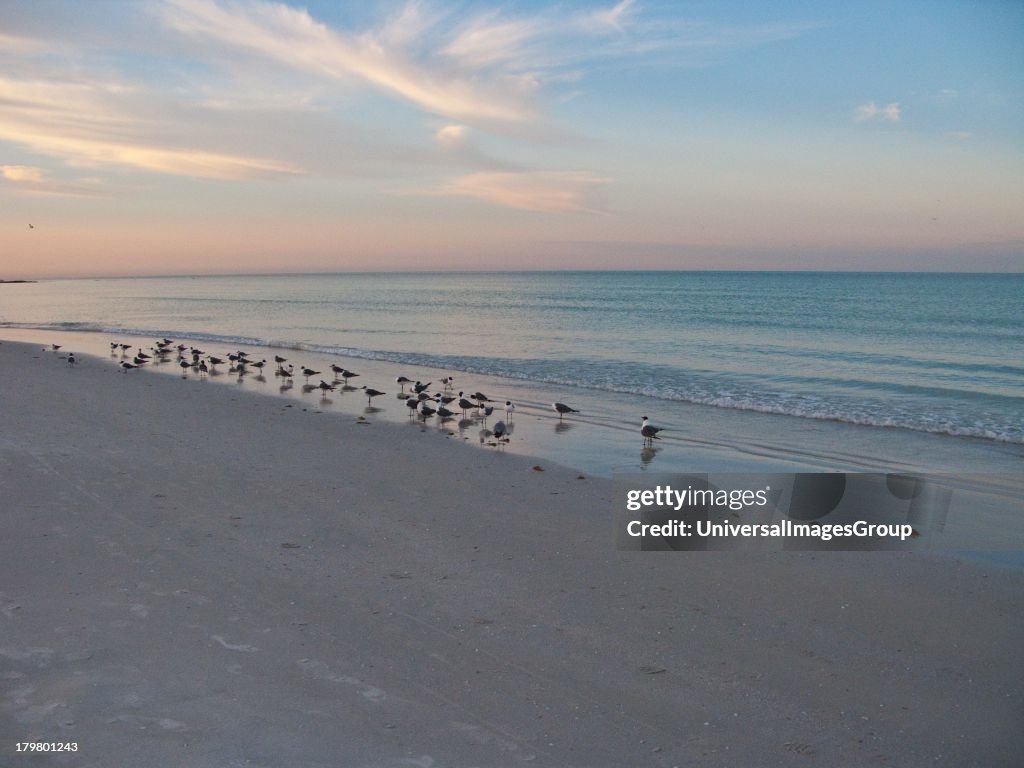 Crescent Beach, Siesta Key, Sarasota, Florida