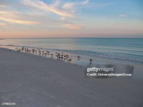 Crescent Beach, Siesta Key, Sarasota, Florida.