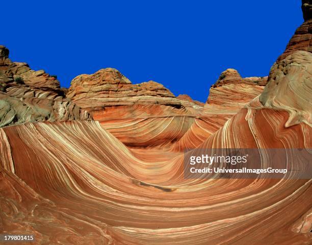 Arizona, The Wave in Upper Paria Canyon.