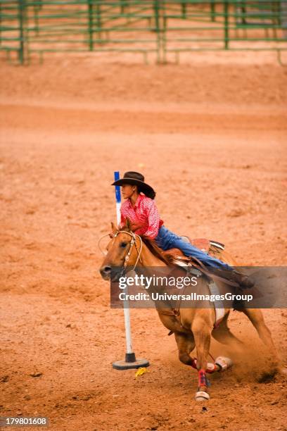 32 Pole Bending Horse Stock Photos, High-Res Pictures, and Images ...