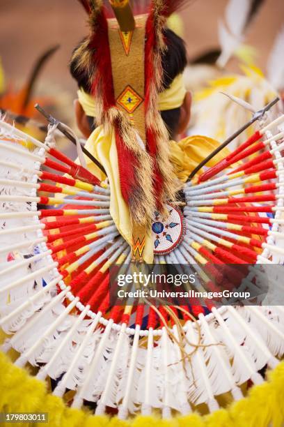 Comanche Indian Fancy Dancer bustle, Gallup Inter-Tribal Indian Ceremonial, Gallup, New Mexico.