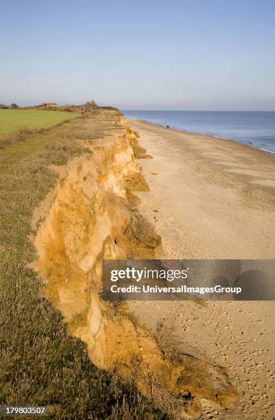 Rapid coastal erosion of soft cliffs between Benacre and Kessingland on the Suffolk coast England. The cliffs were formed by glacial outwash of sands...