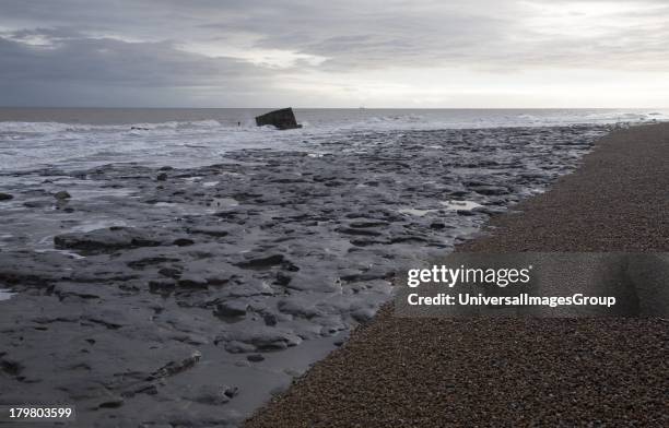 London Clay wave cut platform exposed at low tide on the beach at East Lane, Bawdsey, Suffolk, England.