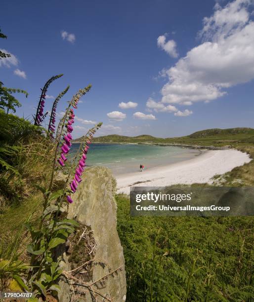 Sandy bay on the Isle of Gigha, Argyll, Scotland, United Kingdom.