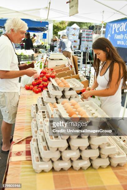 Vendor sells basil, Farmers Market, Santa Barbara, California.