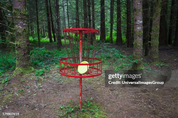Frisbee golf in forest, Oregon.