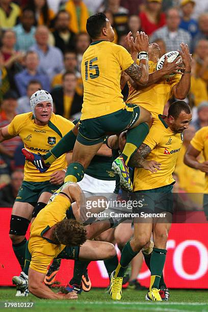 Will Genia of the Wallabies takes a high ball during The Rugby Championship match between the Australian Wallabies and the South African Springboks...