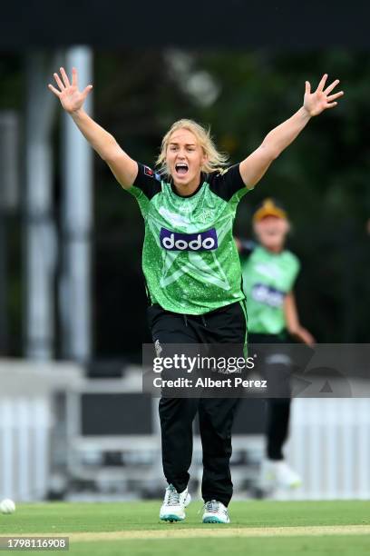 Kim Garth of the Stars appeals during the WBBL match between Melbourne Stars and Hobart Hurricanes at Allan Border Field, on November 17 in Brisbane,...