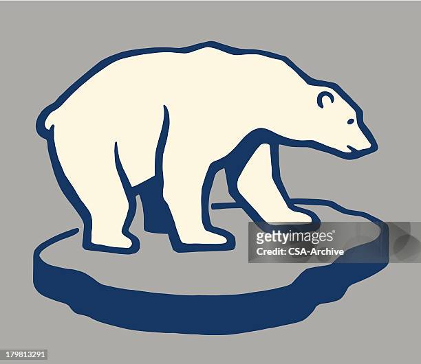 stockillustraties, clipart, cartoons en iconen met polar bear on a chunk of ice - ijsberg ijsformatie