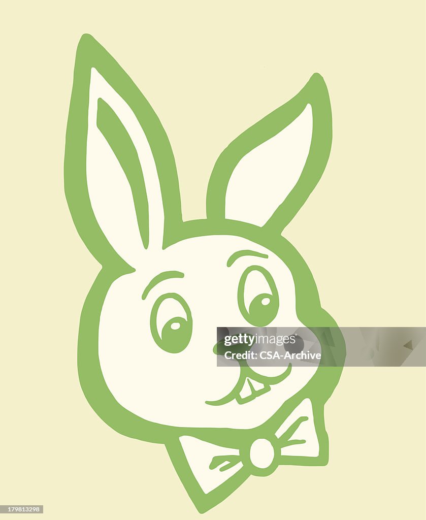 High Resolution Rabbit Head Rabbit Head High-Res Vector Graphic - Getty Images