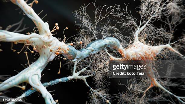 firing neurons - myelin sheath stock pictures, royalty-free photos & images