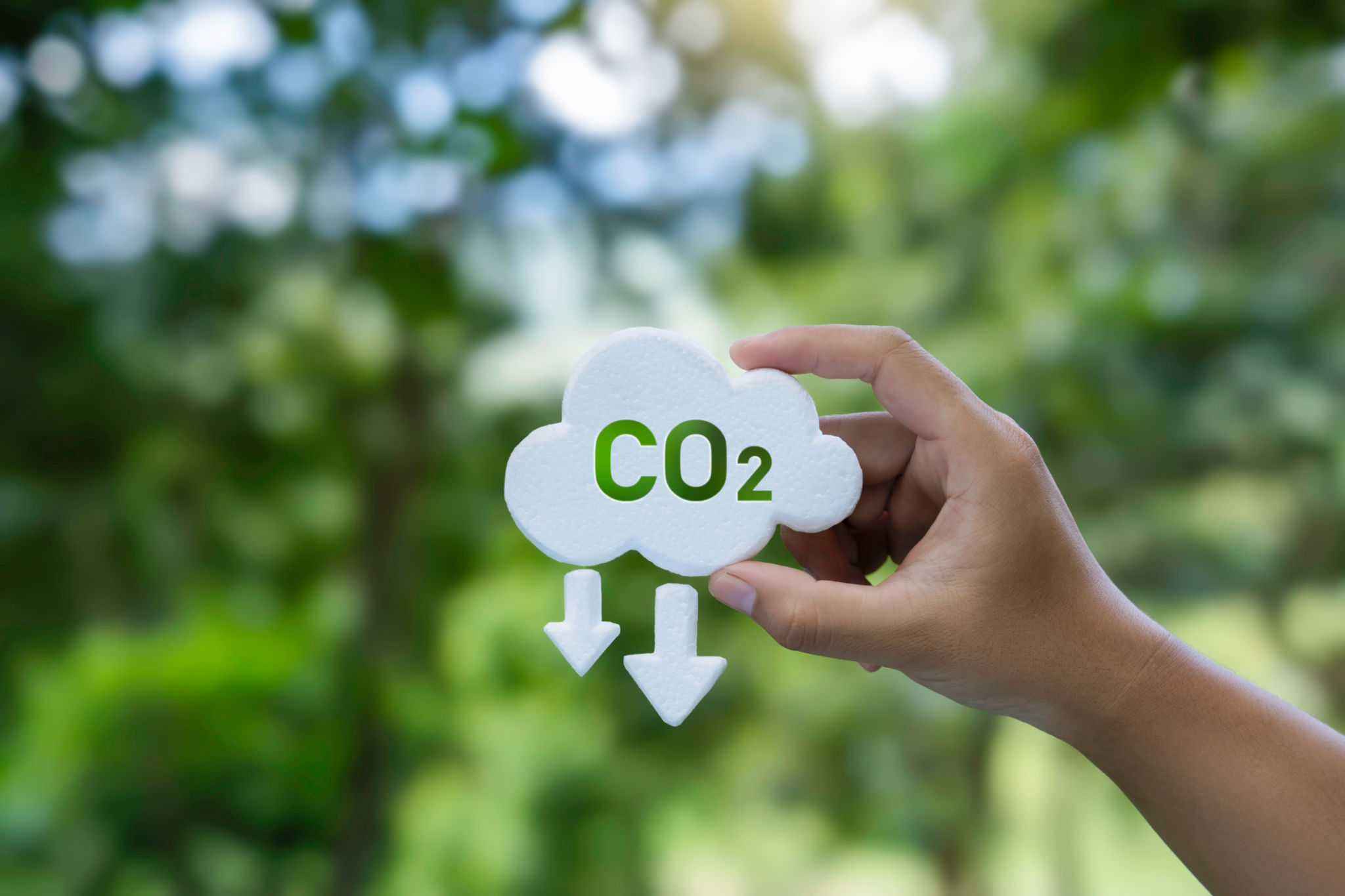 carbon footprint