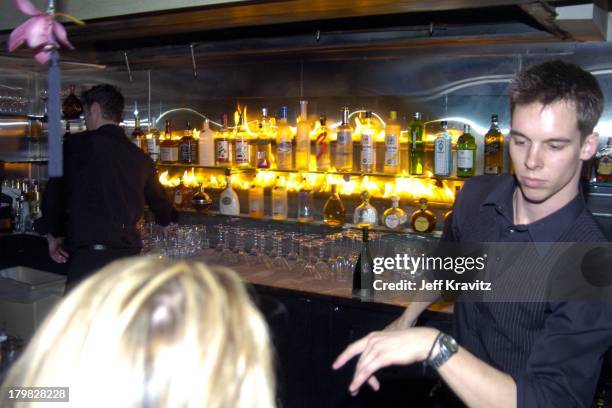 Bar at Dolce during Fox TCA All Star Party at Dolce-Inside Coverage in Los Angeles, California, United States.