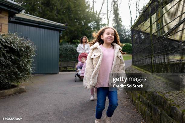 exploring a small zoo together - dierentuin stockfoto's en -beelden