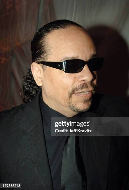 Ice-T, presenter during 20th Annual Rock and Roll Hall of Fame Induction Ceremony - Red Carpet at Waldorf Astoria Hotel in New York City, New York,...