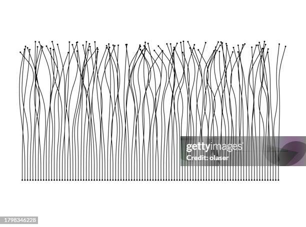 stilisierte schwarze strichzeichnungen, die schlanke, abstrakte pflanzenformen darstellen. - naturlandschaften stock-grafiken, -clipart, -cartoons und -symbole