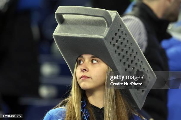 https://media.gettyimages.com/id/1798381589/photo/a-fan-with-a-cheese-grater-hat-looks-onto-the-field-during-an-nfl-thanksgiving-day-football.jpg?s=612x612&w=gi&k=20&c=hFOWeiFBmW0TzIKGtWa_l2pCaDxzOnWEVHu8khkwjes=
