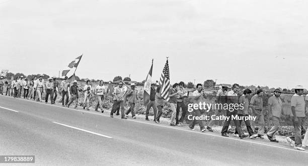 Labor activist and United Farm Workers co-founder Cesar Chavez talks with fellow activists Gilbert Padilla and Marshall Ganz as they walk in the...