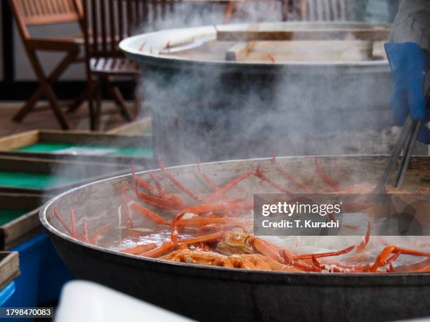 boiling the red snoe crabs - chionoecetes opilio - fotografias e filmes do acervo