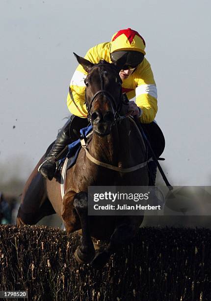 Ruby Walsh and Azertyuiop lead the Marcus Foley riden Got One Too over the 2ND last fence before landing The Georgie Newall Novices Steeple Chase...